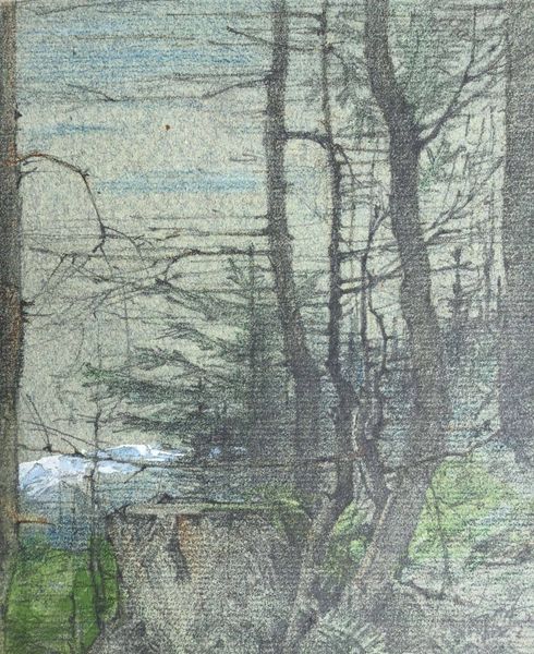 Image du produit Gustave Eyer. Sous-bois avec vue sur les Alpes. Environs de Bad Toelz. Dessin original.