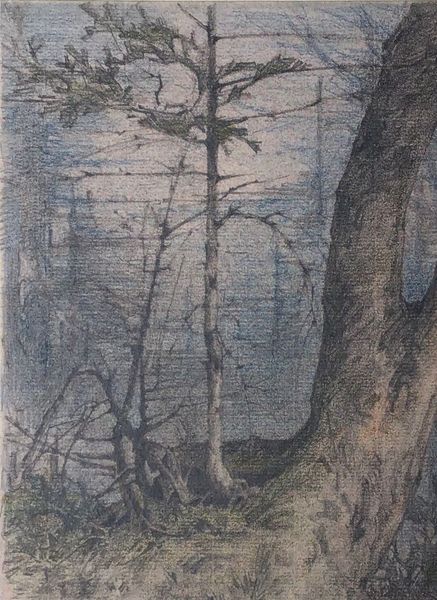 Productafbeelding Gustave Eyer. Sous-bois. Environs de Bad Toelz. Dessin original.