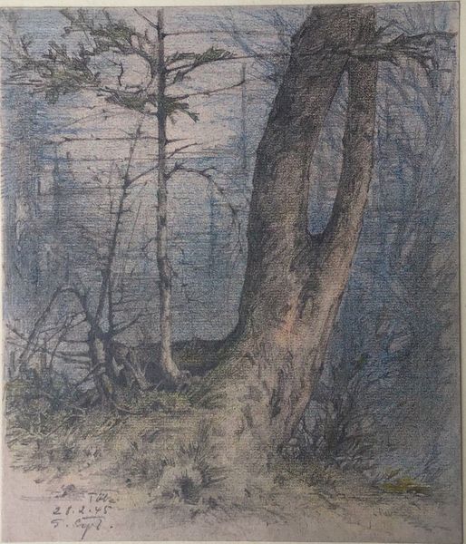 Productafbeelding Gustave Eyer. Sous-bois. Environs de Bad Toelz. Dessin original.