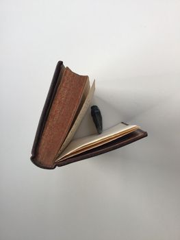 Product illustration