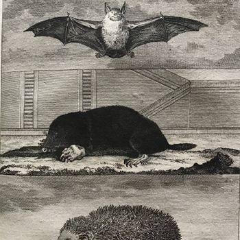 Produktillustration