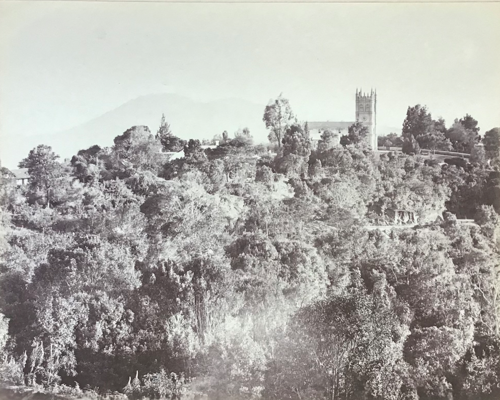 Product Inde. Coonoor. Neilgherry Hills. miniatuur