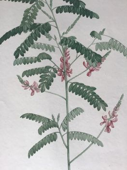Produktillustration