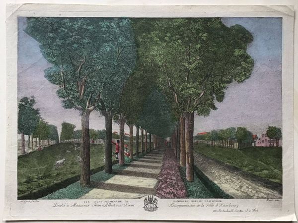 Image du produit J. de Foisse. Vue d'une promenade de Hambourg, hors du Dammthor.
