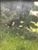 Product Jean Benner. Paysage impressionniste. miniatuur