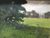 Product Jean Benner. Paysage impressionniste. miniatuur