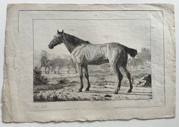 Illustration du produit