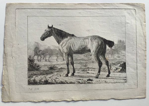 Productafbeelding Jean Daniel Huber. Etudes d'animaux. 6 planches dont la planche de titre.
