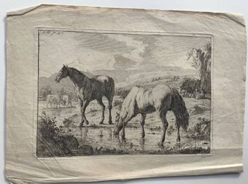 Illustration du produit