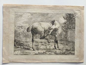 Illustration du produit