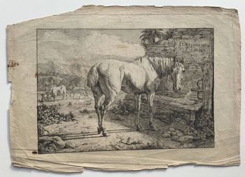 Illustration du produit