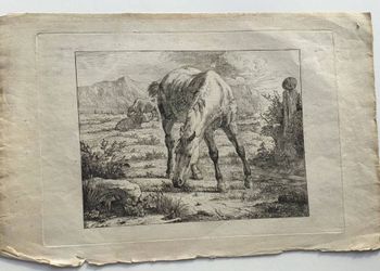 Illustration du produit