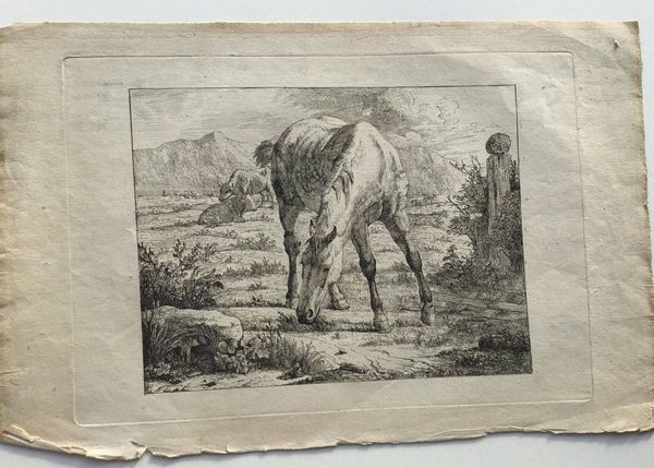 Productafbeelding Jean Daniel Huber. Etudes d'animaux. 6 planches dont la planche de titre.