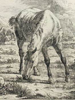 Illustration du produit