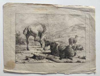 Illustration du produit