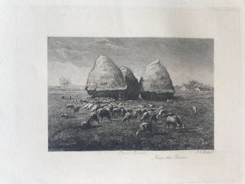 Illustration du produit
