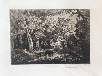 Illustration du produit
