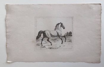 Produktillustration