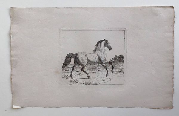 Productafbeelding Jean Huber père. Premier cahier d'études d'après nature. 9 planches dont la planche de titre.