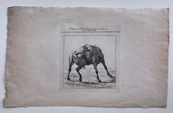 Produktillustration