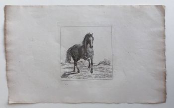 Produktillustration
