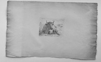 Produktillustration