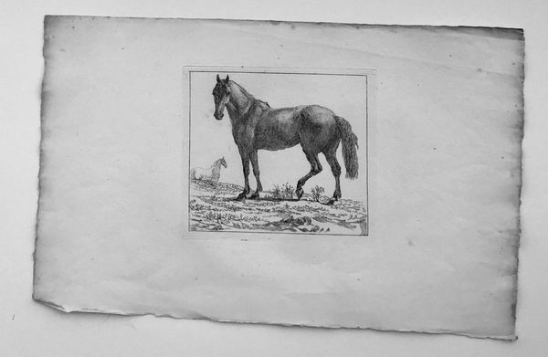 Productafbeelding Jean Huber père. Premier cahier d'études d'après nature. 9 planches dont la planche de titre.