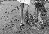 Miniature du produit Joanna Cassidy