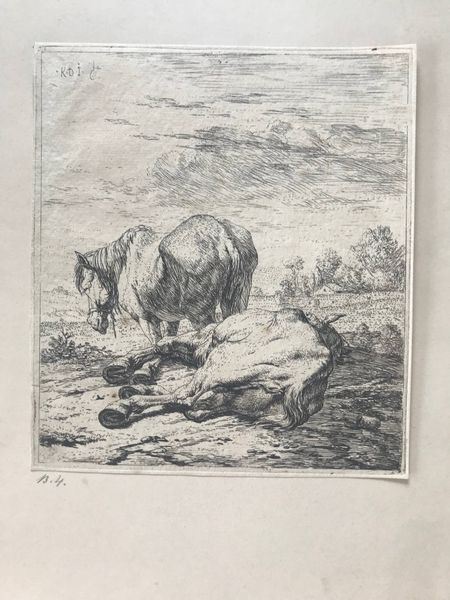 Produktbild Karel du Jardin. Deux chevaux. 1652.