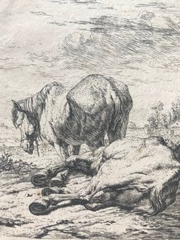 Produktillustration