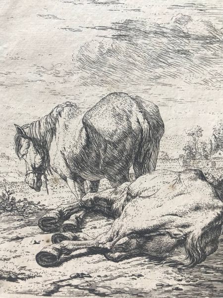 Produktbild Karel du Jardin. Deux chevaux. 1652.