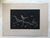 Product Kiyoshi Hasegawa. Oiseau sur une branche. miniatuur