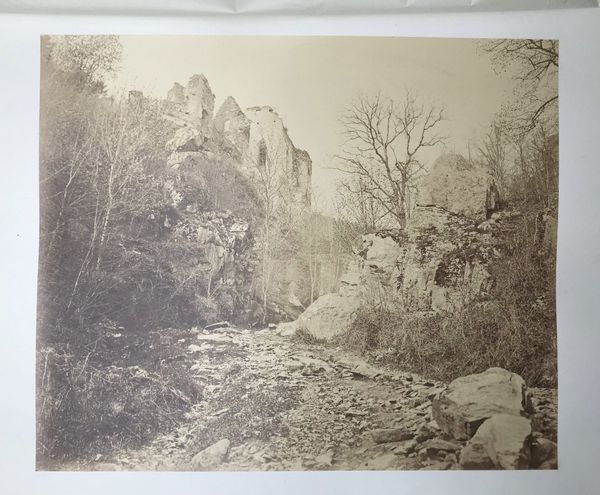 Image du produit L'Alsace photographiée. Adolphe Braun. Dusenbach.