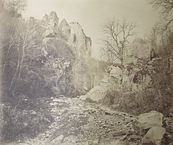 Image du produit L'Alsace photographiée. Adolphe Braun. Dusenbach.