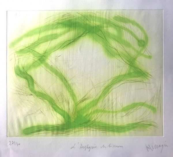 Product image L'asphyxie des liserons. Jean Messagier.