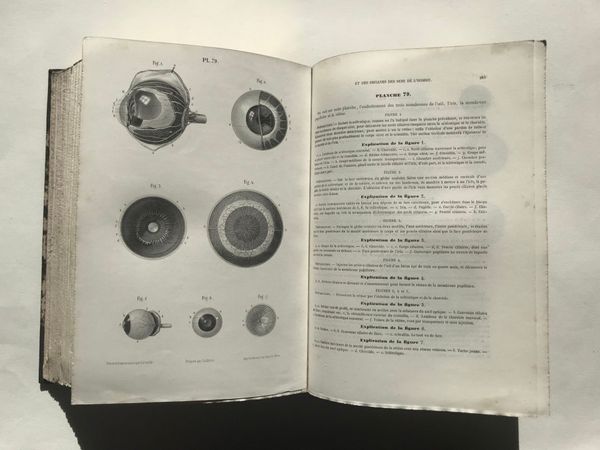 Product image L. Hirschfeld. Névrologie ou description et iconographie du système nerveux (...)
