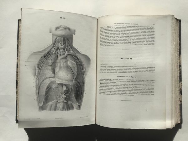 Product image L. Hirschfeld. Névrologie ou description et iconographie du système nerveux (...)