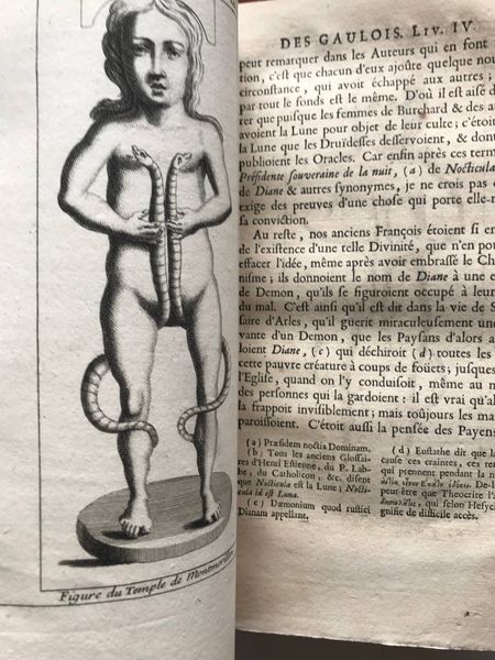 Productafbeelding La Religion des gaulois.