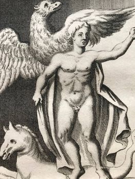 Illustration du produit