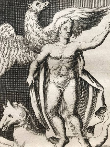 Productafbeelding La Religion des gaulois.