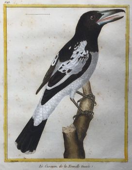 Illustration du produit