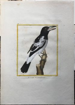 Illustration du produit