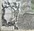 Product Le Cours du Rhin. Guerre de succession d'Autriche. thumbnail