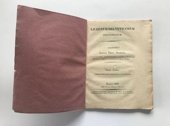 Illustration du produit