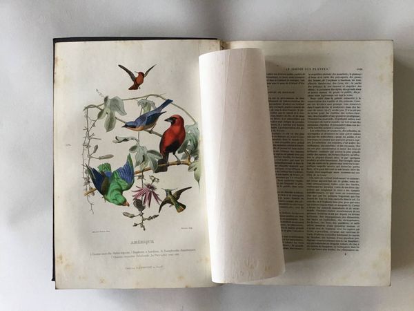 Productafbeelding M. Boitard. Le jardin des plantes. Cartonnage romantique.