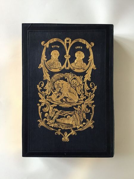 Productafbeelding M. Boitard. Le jardin des plantes. Cartonnage romantique.