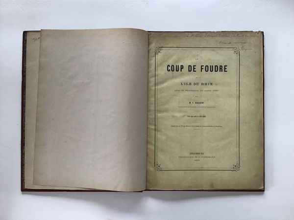 Produktbild M.F. Hugueny. Coup de foudre de l'île du Rhin.