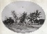 Produktminiatur Madagascar. Tamatave. 2 photographies.