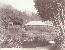 Product Martinique. miniatuur