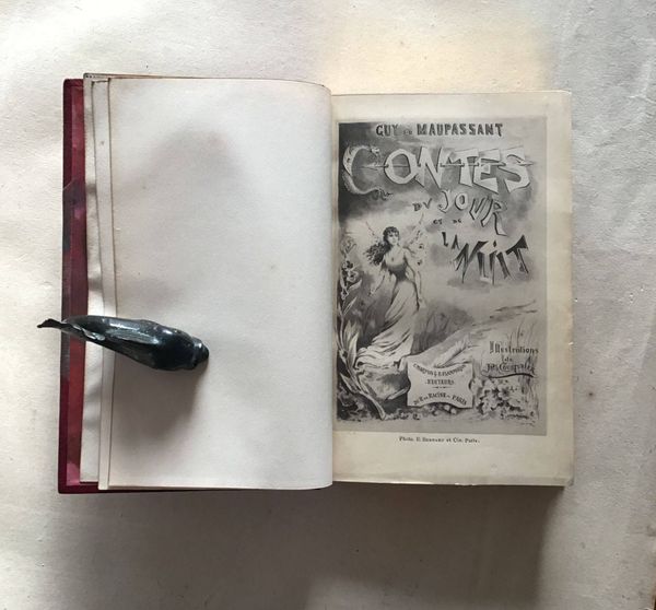Image du produit Maupassant. Contes du jour et de la nuit.